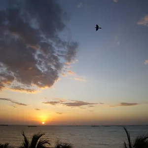 Apartamento Apartamento Con Playa Privada Y Piscina 